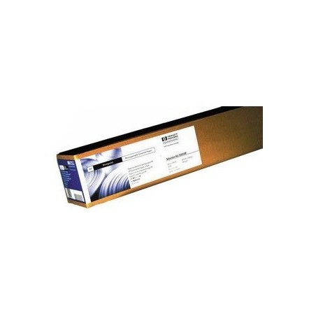 PAPER HEAVY COATED 120G/M 21067MMX30.5M F/DSNJ5000, Toner Express : achat en ligne de PAPER HEAVY COATED 120G/M 21067MMX30.5M F/