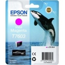 Cartouche Encre Magenta pour EPSON SureColor SC-P600 (T7603) (Orque), Toner Express : achat en ligne de Cartouche Encre Magenta 