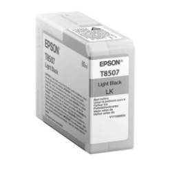 Cartouche d'encre Light Noire pour Epson SC-P800, Toner Express : achat en ligne de Cartouche d'encre Light Noire pour Epson SC-