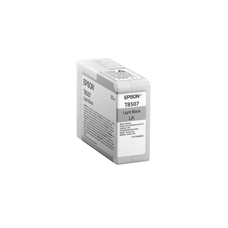 Cartouche d'encre Light Noire pour Epson SC-P800, Toner Express : achat en ligne de Cartouche d'encre Light Noire pour Epson SC-