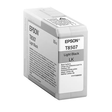 Cartouche d'encre Light Noire pour Epson SC-P800, Toner Express : achat en ligne de Cartouche d'encre Light Noire pour Epson SC-