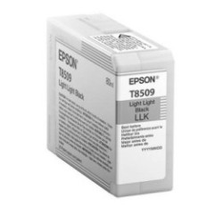 Cartouche d'encre Light Light Noire pour Epson SC-P800, Toner Express : achat en ligne de Cartouche d'encre Light Light Noire po