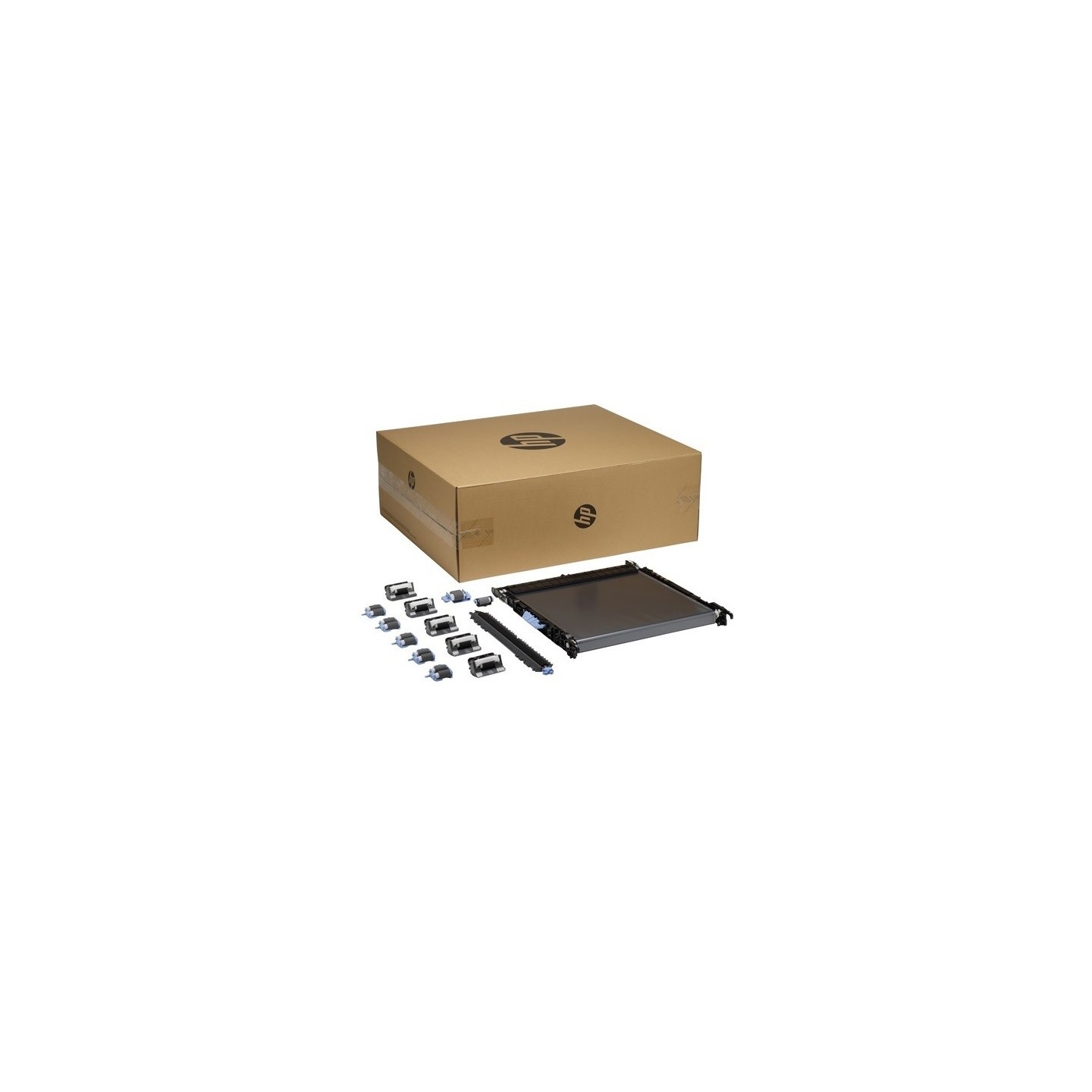 Kit de Transfert (courroie) HP pour Color Laserjet enterprise M856dn, M776dn... (659X)