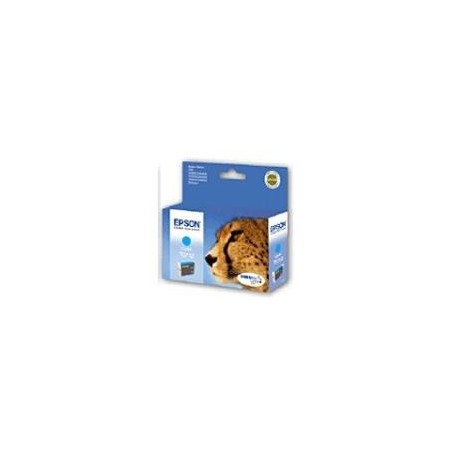Cartouche d'encre cyan Epson pour Stylus DX6050 / 4000 / 5000, Toner Express : achat en ligne de Cartouche d'encre cyan Epson po
