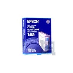 Cartouche Encre Cyan+Cyan Clair EPSON (T489), Toner Express : achat en ligne de Cartouche Encre Cyan+Cyan Clair EPSON (T489) pou