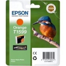 Cartouche orange Epson pour Stylus Photo R2000, Toner Express : achat en ligne de Cartouche orange Epson pour Stylus Photo R2000